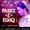 About Marz-E-Ishq - LoFi Song
